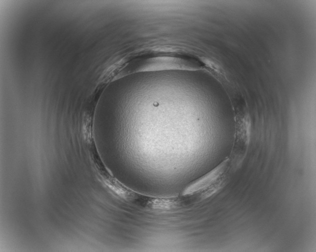 X0000059090766200510101144