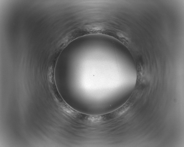 X0000059090767200510101144