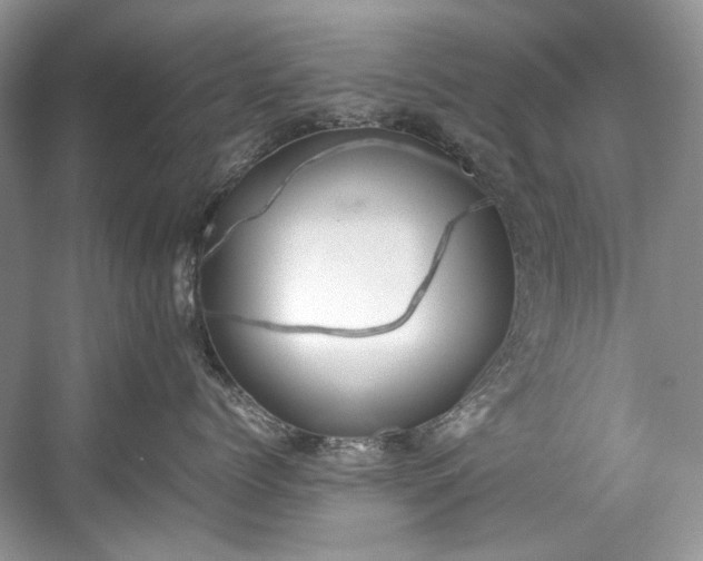 X0000059090768200510101144