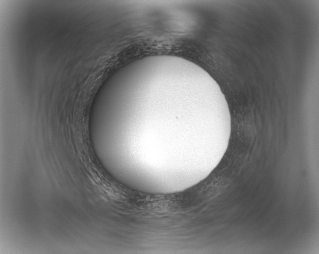 X0000059090769200510101143