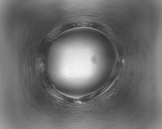 X0000059090771200510101143