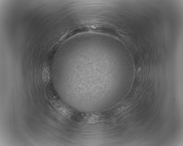 X0000059090772200510101143