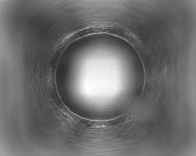 X0000059090773200510101143