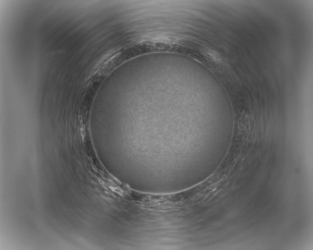 X0000059090774200510101143