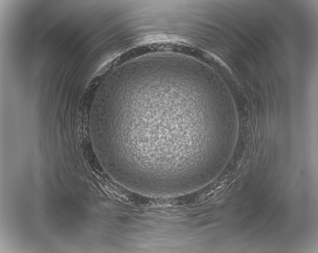 X0000059090775200510101143