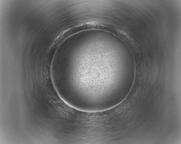 X0000059090776200510101143