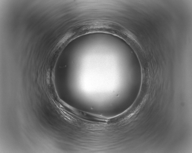 X0000059090777200510101143