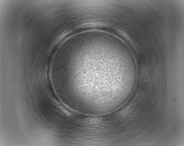 X0000059090778200510101143