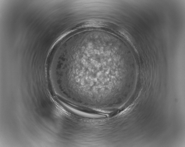 X0000059090779200510101143