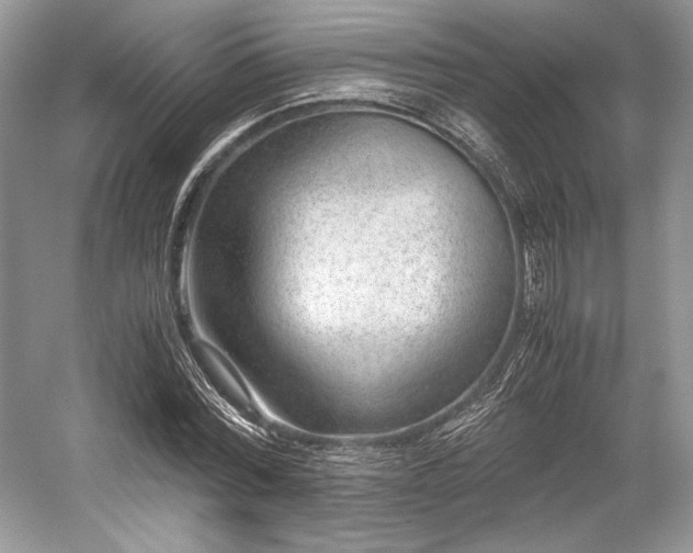 X0000059090780200510101143