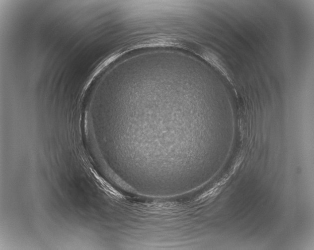 X0000059090781200510101143