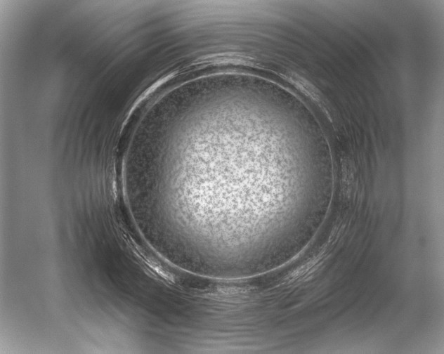 X0000059090782200510101143