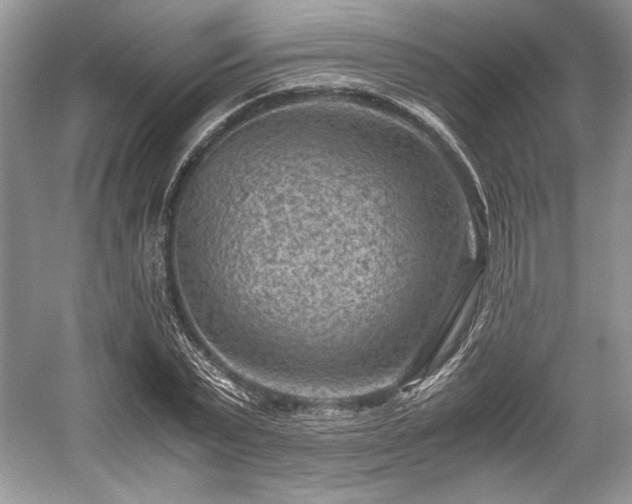 X0000059090783200510101143