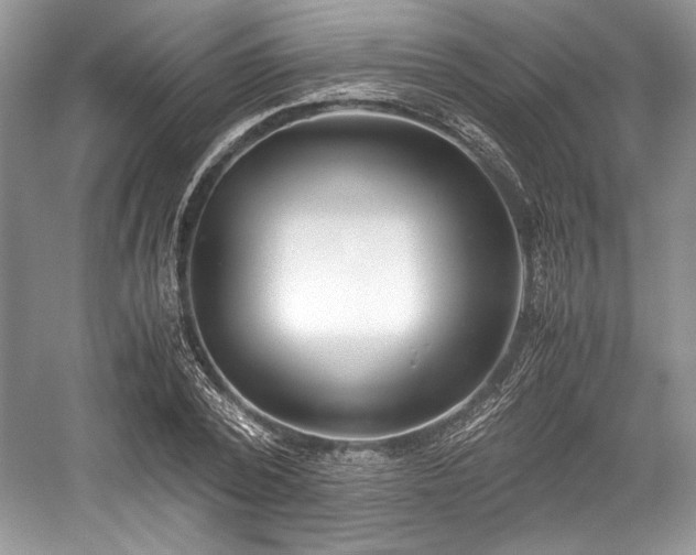 X0000059090784200510101143