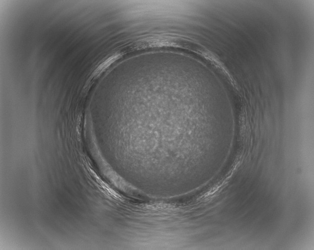 X0000059090785200510101143