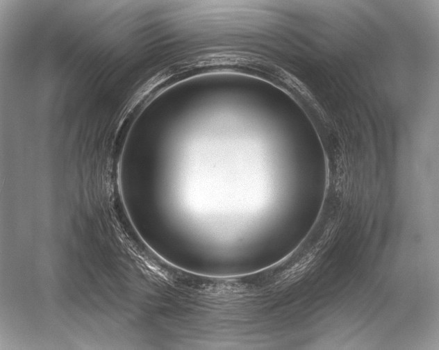 X0000059090786200510101143