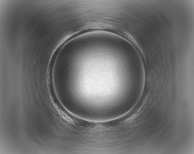 X0000059090787200510101143