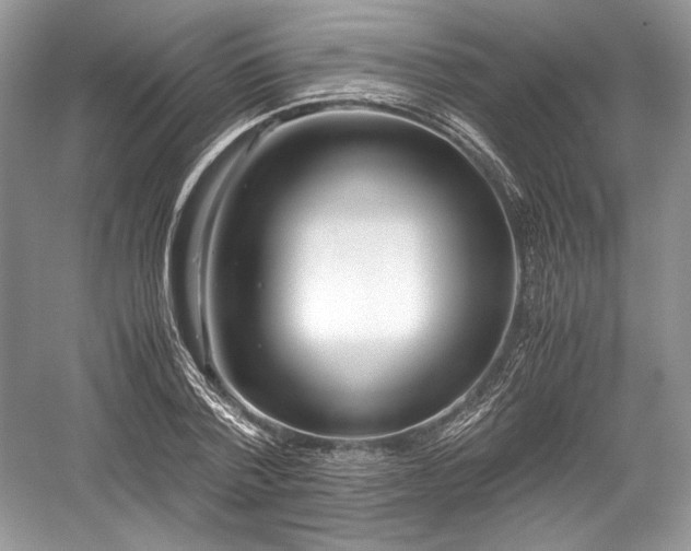 X0000059090788200510101143