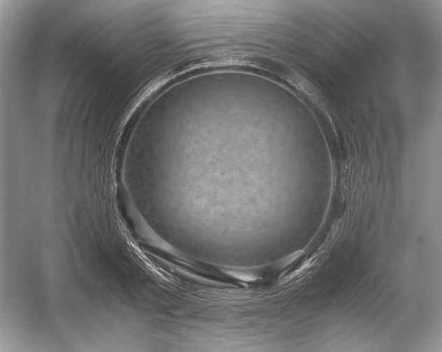 X0000059090789200510101143