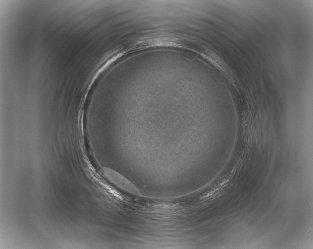 X0000059090790200510101143