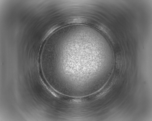 X0000059090794200510101143