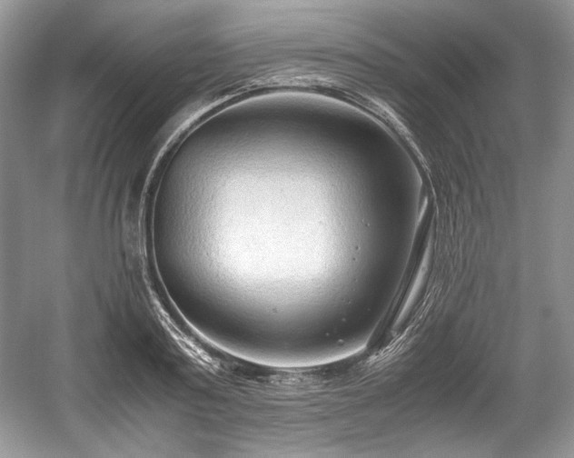 X0000059090795200510101143