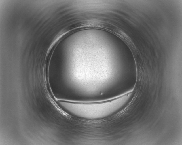 X0000059090796200510101143