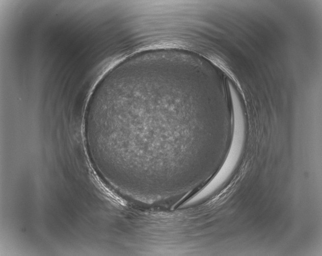 X0000059090797200510101143