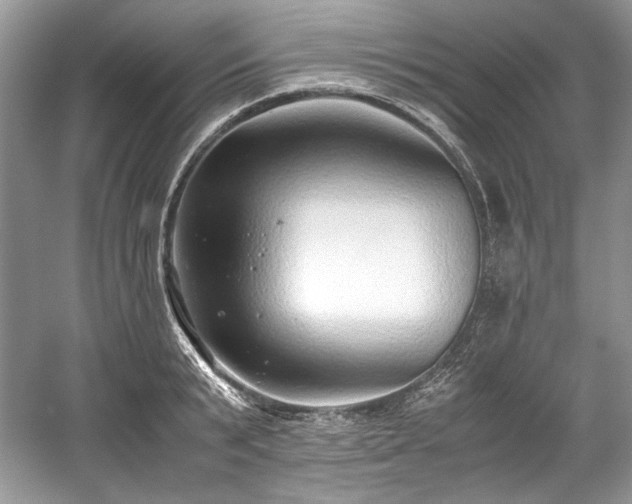 X0000059090799200510101143