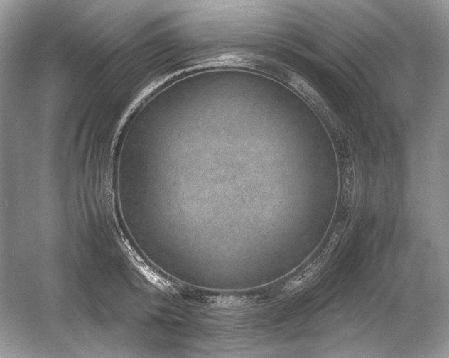 X0000059090800200510101143