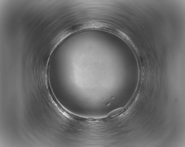 X0000059090802200510101143