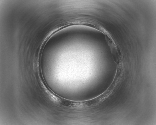 X0000059090803200510101143