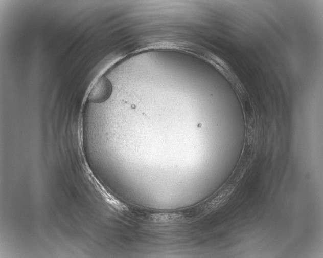 X0000059090804200510101143