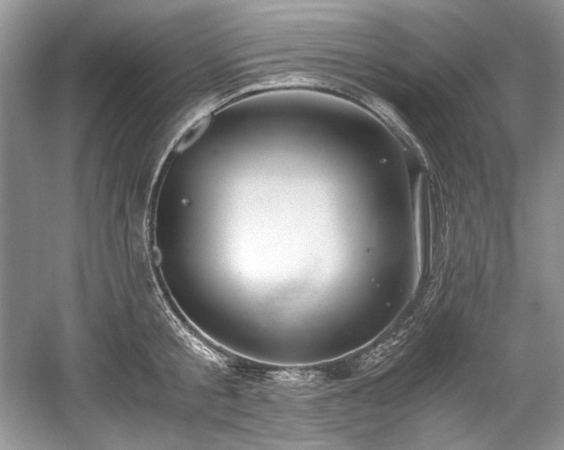 X0000059090805200510101143