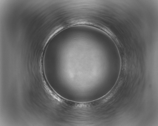 X0000059090806200510101143