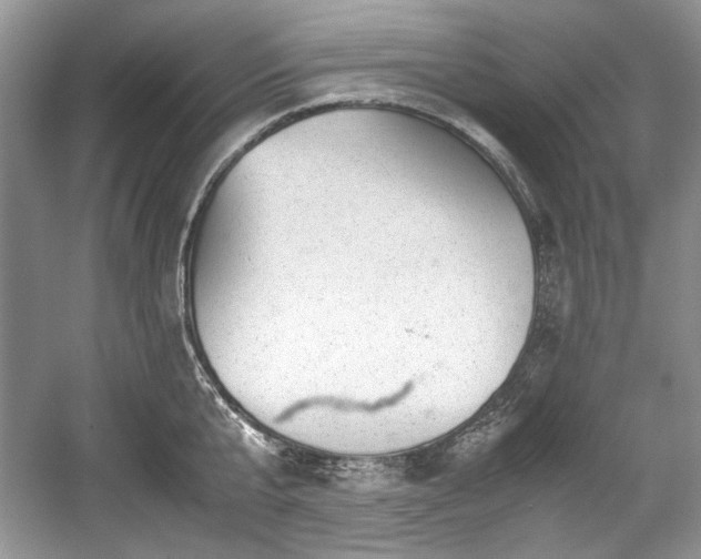 X0000059090807200510101143