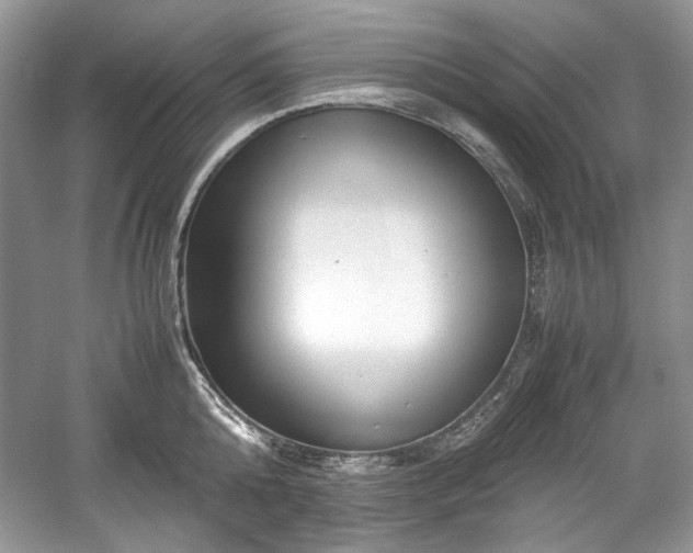 X0000059090808200510101143