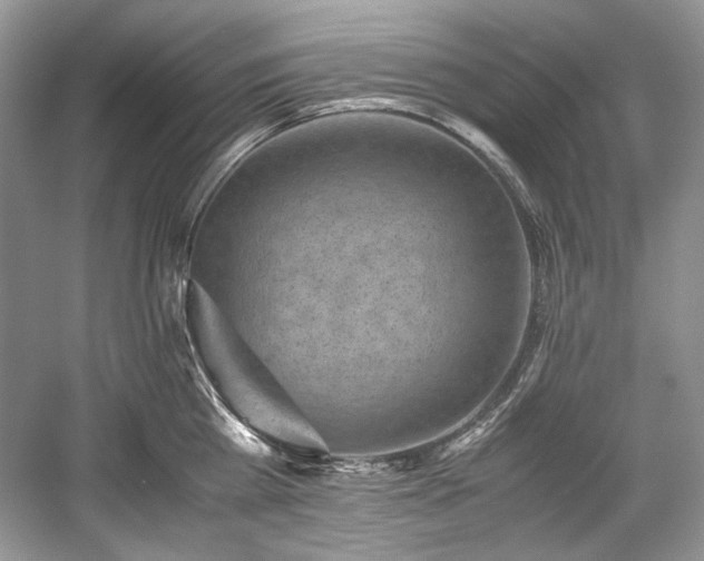 X0000059090809200510101143