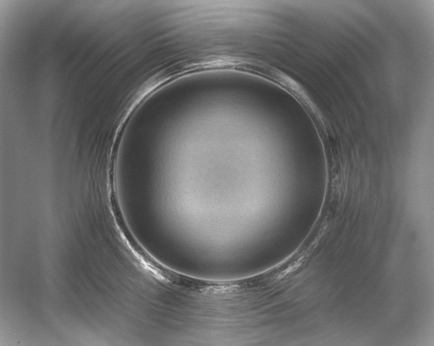 X0000059090810200510101143