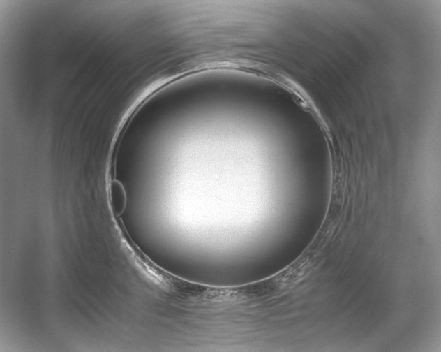 X0000059090811200510101143