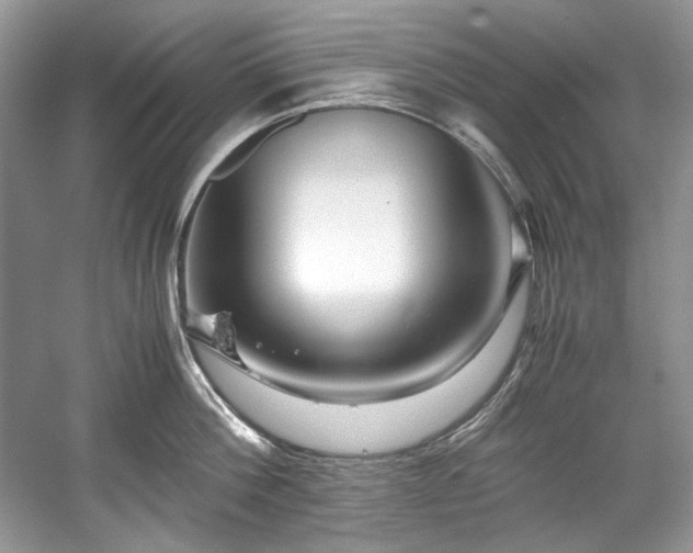 X0000059090812200510101143