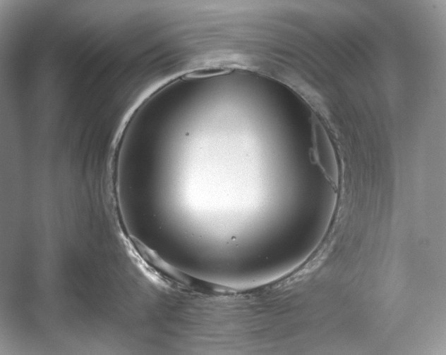 X0000059090816200510101143