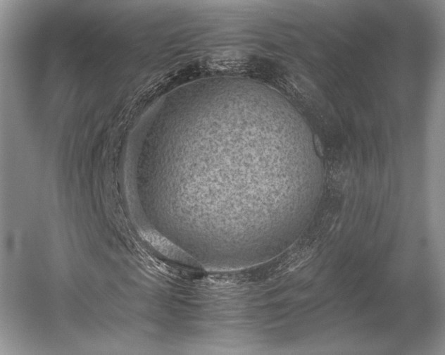 X0000059090817200510101142