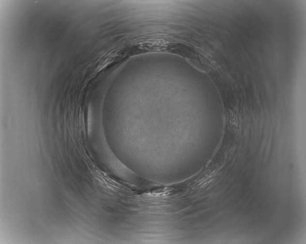 X0000059090818200510101142