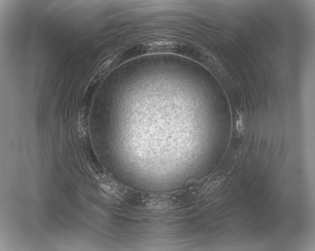 X0000059090819200510101142