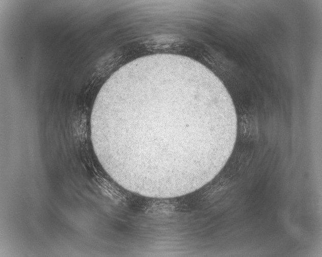 X0000059090820200510101142