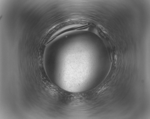 X0000059090822200510101142