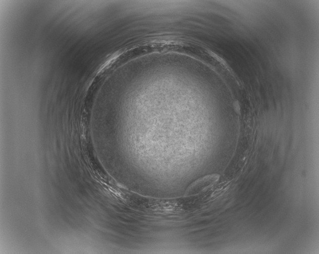 X0000059090823200510101142