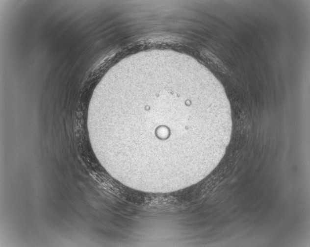 X0000059090824200510101142