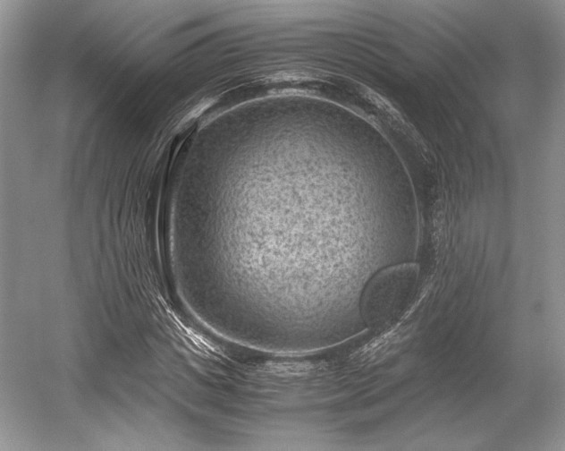 X0000059090825200510101142